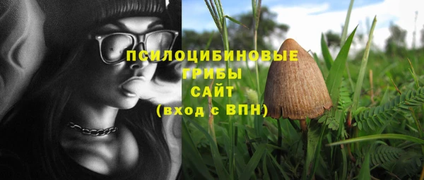 apvp Арсеньев