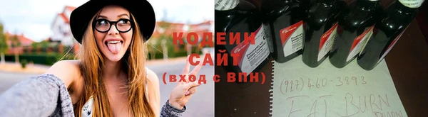 apvp Арсеньев