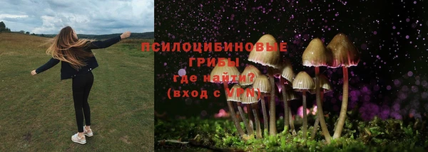 первитин Армянск