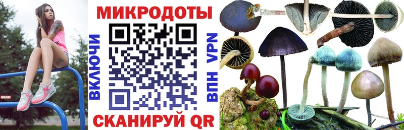 купить наркотики цена  Балашов  кракен tor  Псилоцибиновые грибы прущие грибы 
