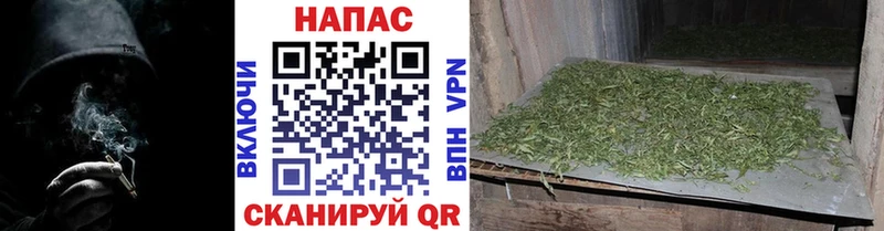 Бошки Шишки VHQ Балашов